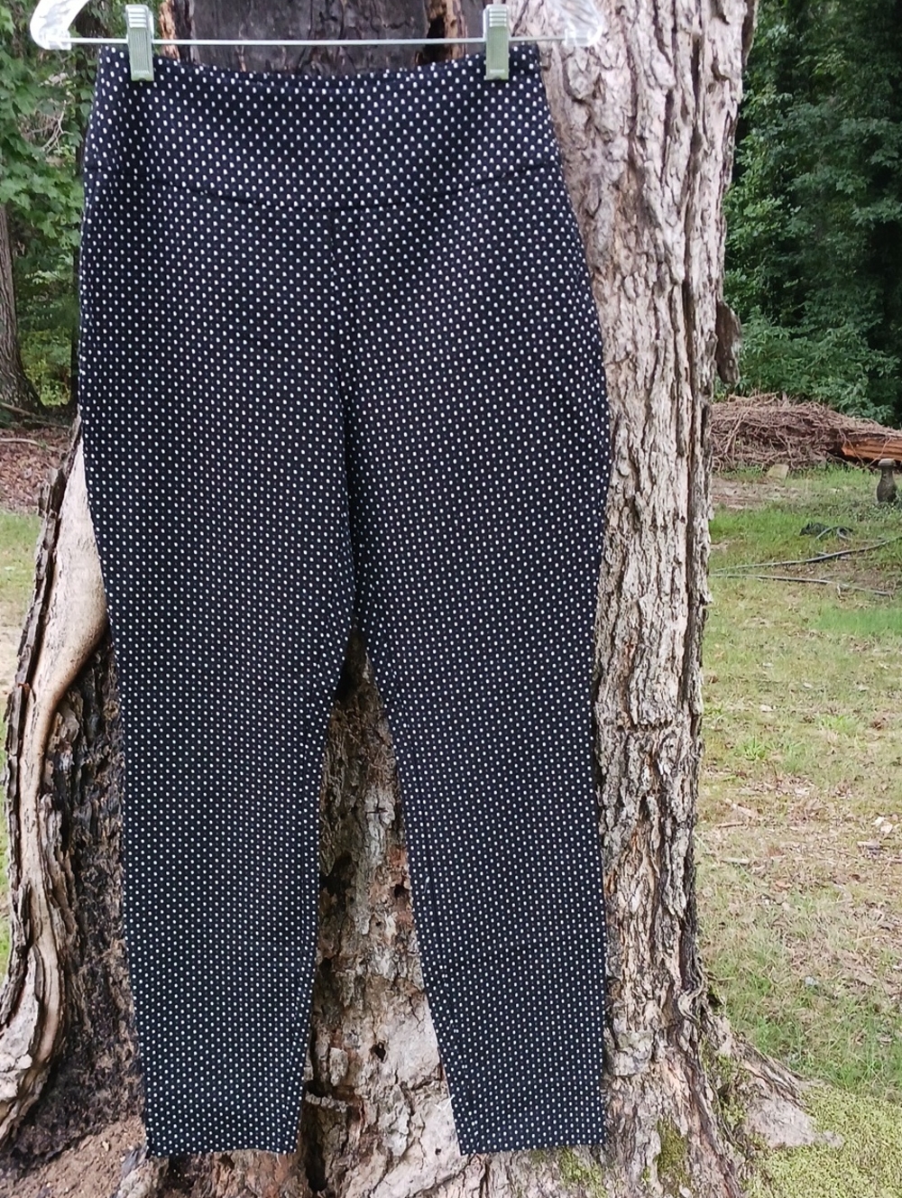 CAbi Black Pants with White Polka Dot Print